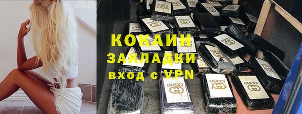 стафф Зерноград