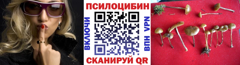 Галлюциногенные грибы Cubensis  Мосальск 